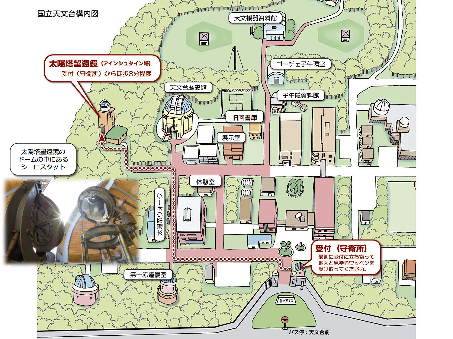 三鷹キャンパス構内図;最初に受付(守衛所)に立ち寄って地図と見学者ワッペンを受け取ってください。太陽塔望遠鏡へは、太陽系ウォークを通り、大赤道儀室の前で左に曲がって道なりに行くと到着します。受付から徒歩8分程度です。太陽塔望遠鏡の最上階ドームの中には「シーロスタット」があります。
