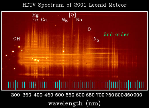 しし座流星群の流星のスペクトル画像