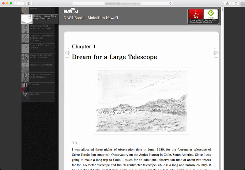 Screen of WEB Book